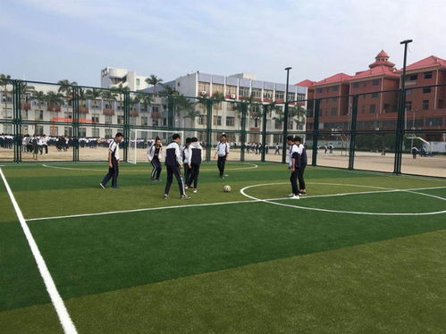 【貴州足球場圍網安裝標準】- 