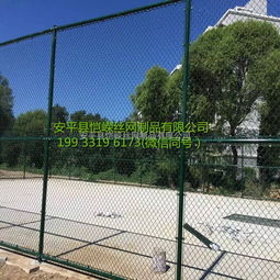 愷嶸現貨籃球場圍網 運動場防護圍欄 浸塑框架護欄網 球場護欄 體育場防護網 價格 谷瀑環保
