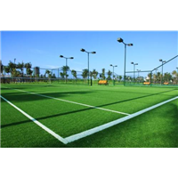 足球場人造草坪