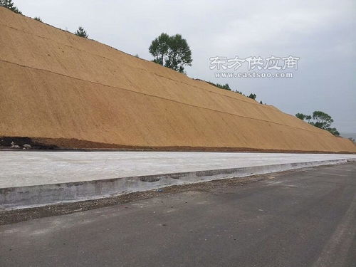 護(hù)坡綠化防水毯 五層加筋植生毯 植物防水毯 廠家