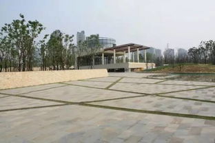 55款創(chuàng)意嵌草鋪裝意向圖合集