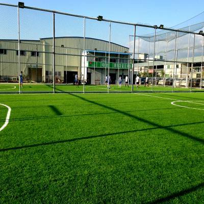 安徽池州人造草皮 學(xué)校足球場(chǎng)專用人工草坪鋪裝 50mm人造草 人造草坪安裝