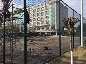 操場護欄網廠家保障品質