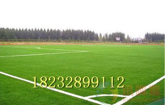 操場人造塑料草坪價(jià)格