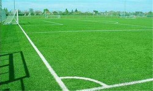 自貢人造草坪 勝帥建材 在線咨詢 人造草坪廠高清圖片 高清大圖