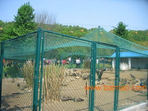 十堰山城公共區(qū)圍網(wǎng),勾花網(wǎng)護(hù)欄價(jià)格,公共場菱形圍欄,十堰山城公共區(qū)圍網(wǎng),勾花網(wǎng)護(hù)欄價(jià)格,公共場菱形圍欄生產(chǎn)廠家,十堰山城公共區(qū)圍網(wǎng),勾花網(wǎng)護(hù)欄價(jià)格,公共場菱形圍欄價(jià)格