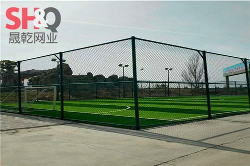 大東浸塑鐵絲網(wǎng)圍網(wǎng)定制廠家