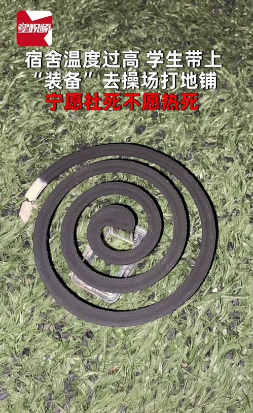 宿舍溫度過高,學(xué)生帶上 裝備 去操場(chǎng)打地鋪 寧愿社死不愿熱死