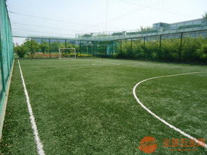 專(zhuān)業(yè)樓頂運(yùn)動(dòng)場(chǎng)圍網(wǎng)與體育場(chǎng)地鋪裝解決方案