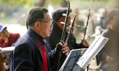 世衛(wèi)組織公布老年人標(biāo)準(zhǔn)年齡 到了年紀(jì)別不服老