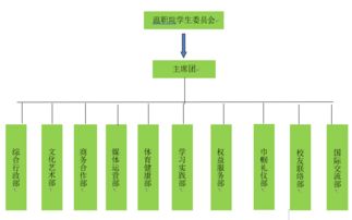 一封來自共青團(tuán)的信 讓大學(xué)生活多姿多彩，溫職院十二大組織招新啟航